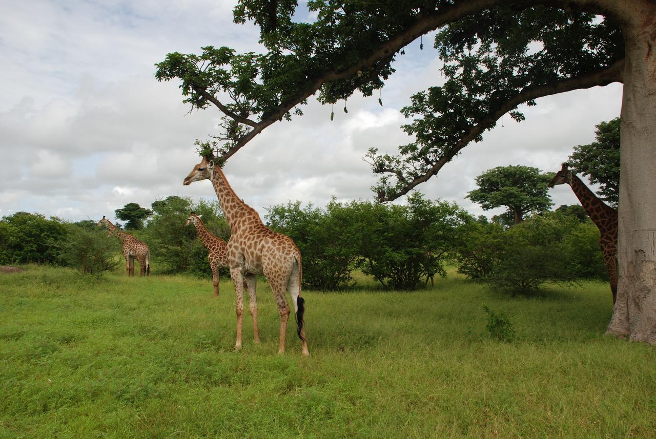 Safari Village Saly Exterior photo